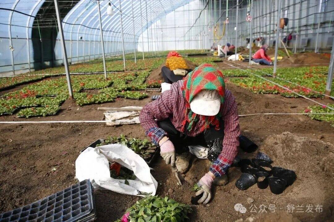舒兰市兴山村：春暖人勤花卉香