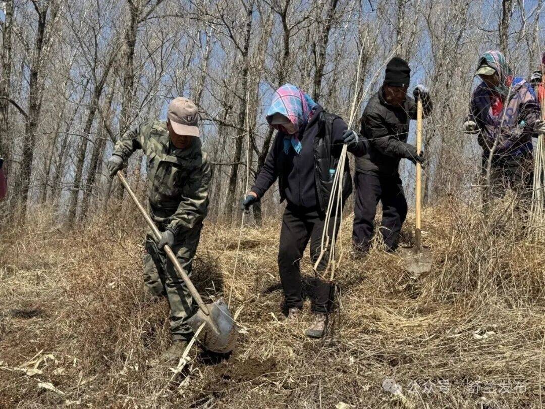 舒兰市法特镇：植绿美家园 同心建乡村
