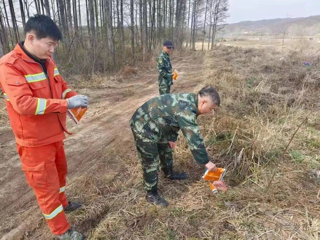 舒兰市高效完成春季森林鼠害防治工作
