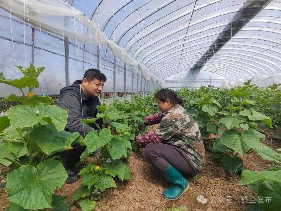舒兰市金马镇：方寸庭院大文章