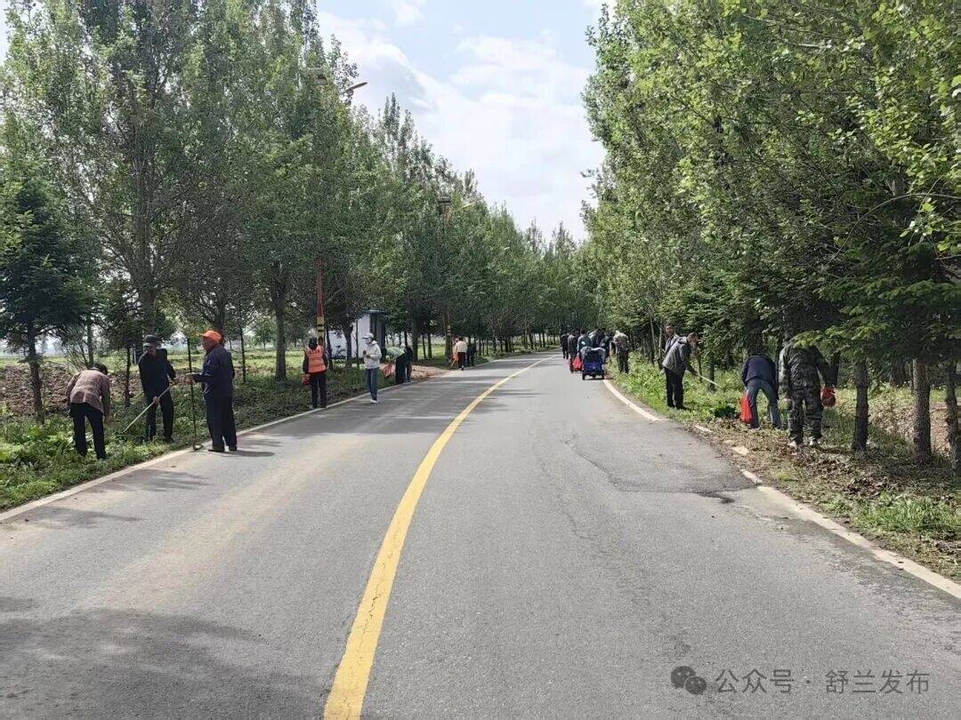 舒兰市亮甲山乡：植树种花添新彩