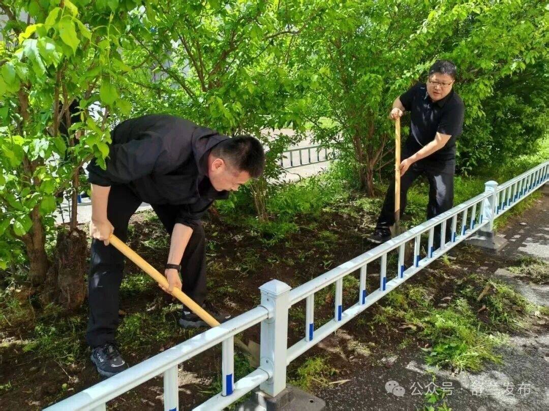 舒兰市金马镇：党建引领 除草种花焕新颜
