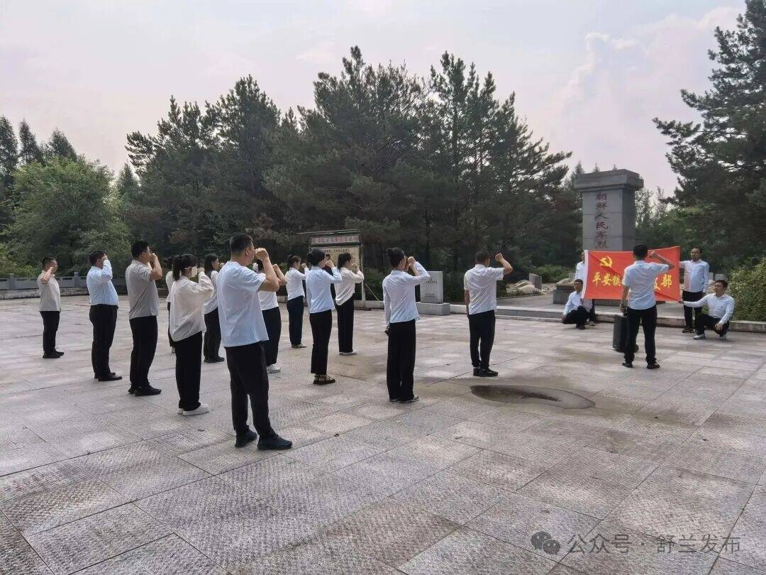 学先进强党性，舒兰市平安镇凝聚奋进力量