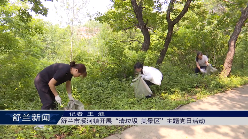 舒兰市溪河镇开展&ldquo;清垃圾 美景区&rdquo;主题党日活动