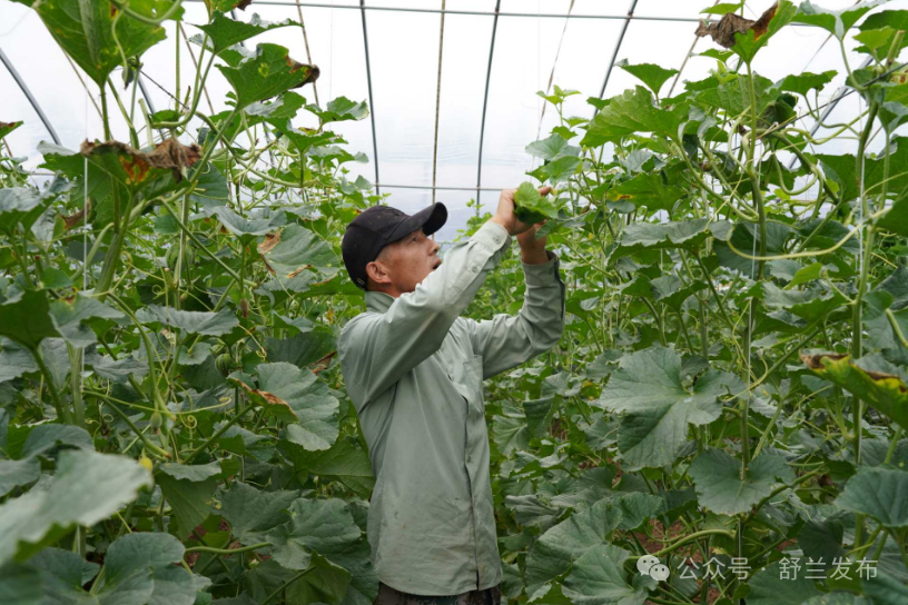 舒兰市三兴村：特色产业促蝶变