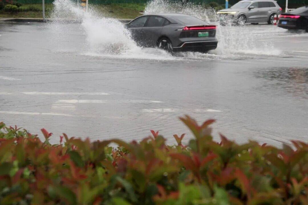 转扩！雨天开车，这5件事要记牢