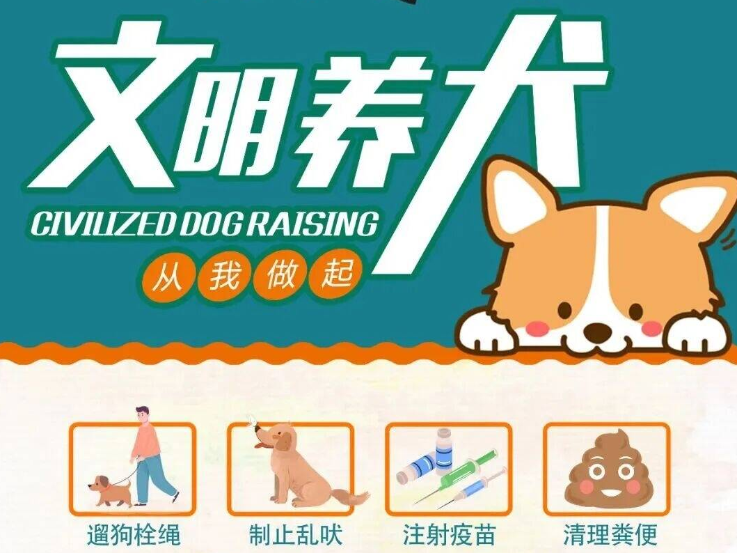 文明养犬，从我做起︱牵紧&ldquo;文明绳&rdquo;，养犬不掉&ldquo;链&rdquo;！