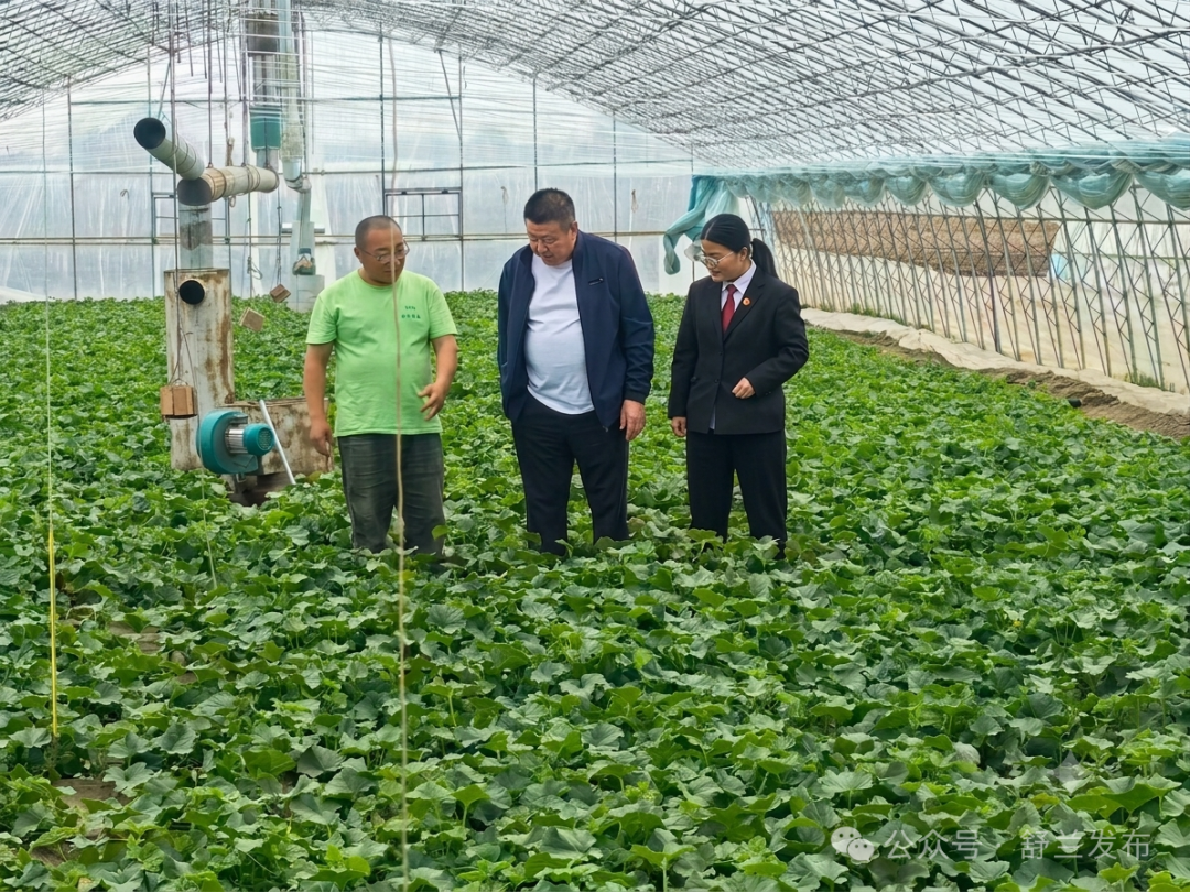舒兰市人民法院：&ldquo;莓&rdquo;好护航 法润瓜田