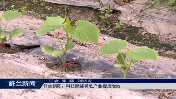 舒兰朝阳：科技赋能黄瓜产业提质增效