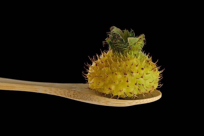 水果界的维C天花板！维C含量是橙子的78倍！可惜很多人不知道