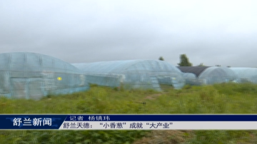 舒兰天德：&ldquo;小香葱&rdquo;成就&ldquo;大产业&rdquo;
