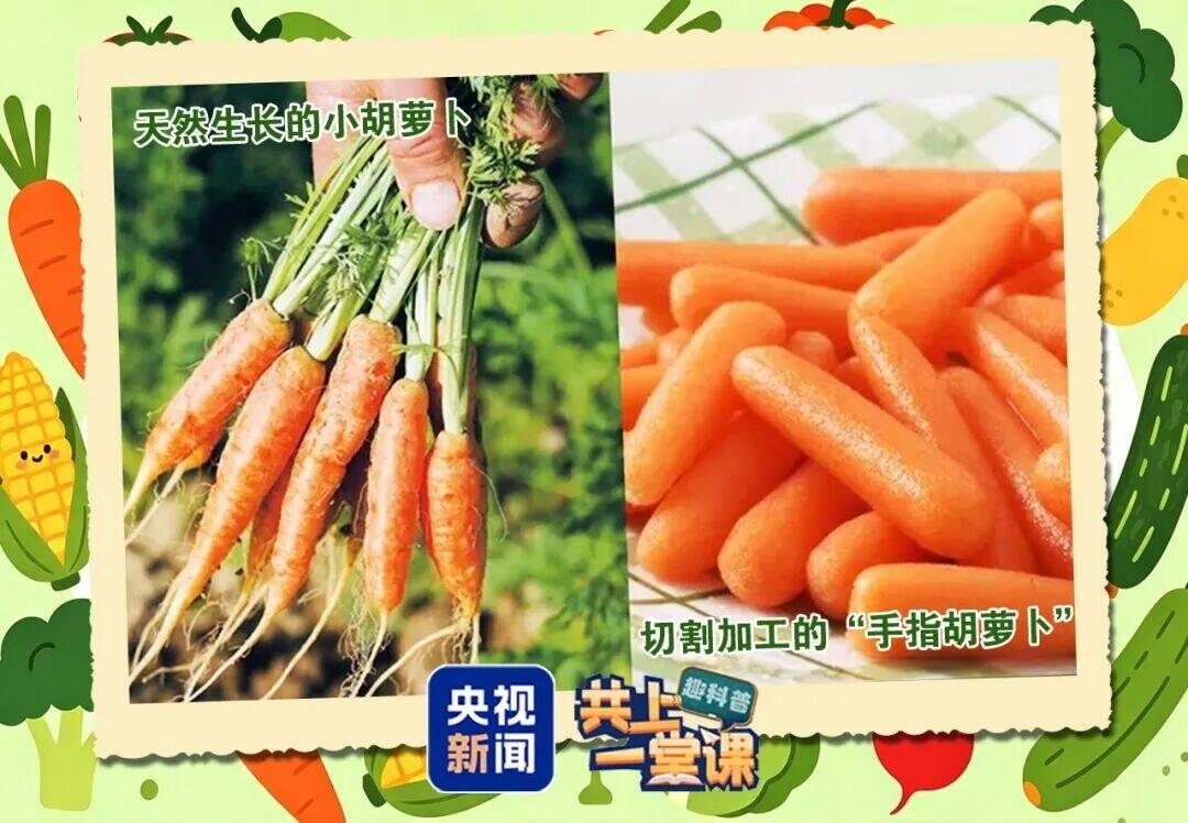 &ldquo;水果型蔬菜&rdquo;身价翻倍！它和普通蔬菜有什么不一样？