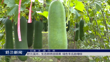 舒兰溪河：生态种养结硕果 绿色冬瓜助增收