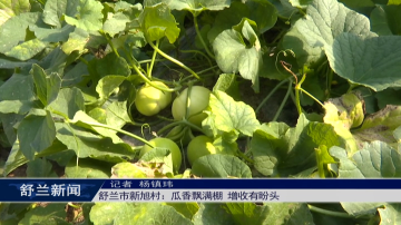 舒兰市新旭村：瓜香飘满棚 增收有盼头