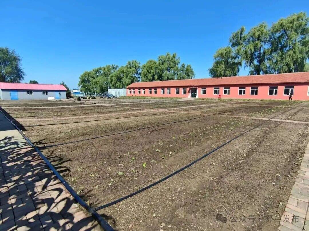 闲置地变&ldquo;一分田&rdquo;！舒兰市合兴村&ldquo;共享菜园&rdquo;项目助农致富