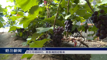 舒兰市杨林村：果香满园迎客来