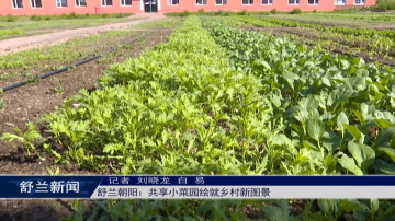 舒兰朝阳：共享小菜园绘就乡村新图景