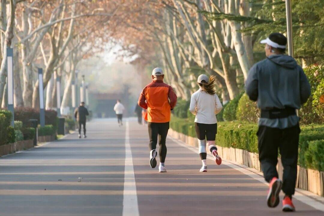 比快走有效、比跑步轻松，这项运动能降低心血管疾病风险、改善血糖水平
