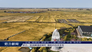舒兰：稻浪翻涌收割忙 颗粒归仓庆丰年