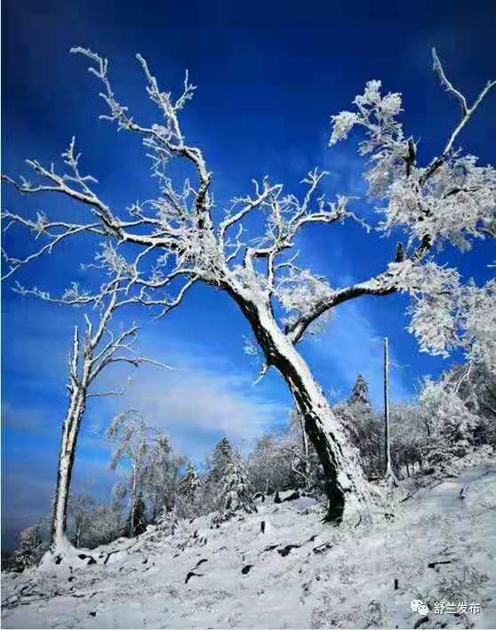 二合雪景如诗如画